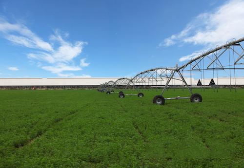 济南西区安全农产品标准化示范园区